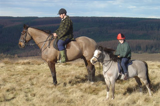 North York Moors Horse Riding