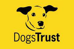 Supporting The Dog Trust